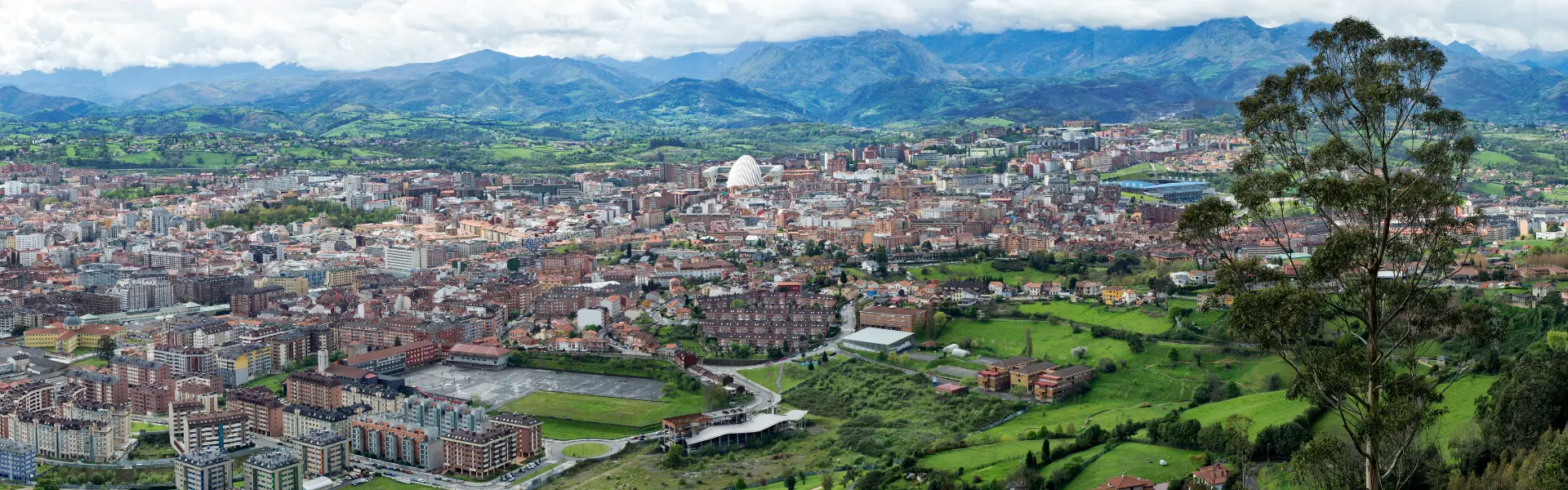 dentista-en-oviedo